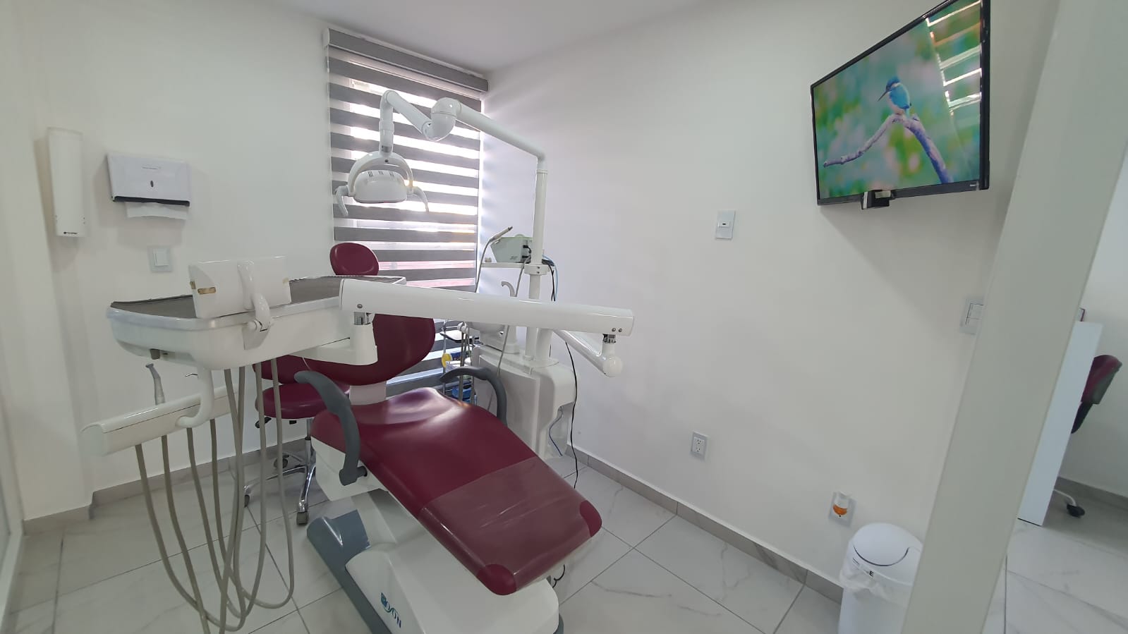 Consultorio dental 1